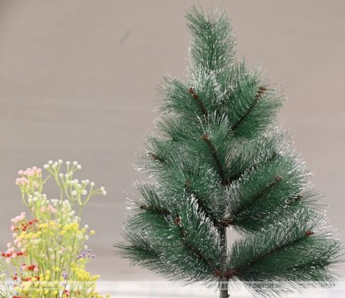 Сколько стоит елка в Кричеве: заглянули в торговые точки