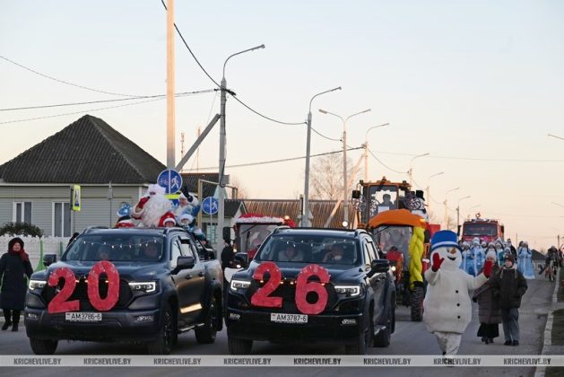 В Кричеве прошло шествие дедов морозов и выбрали самую креативную елку