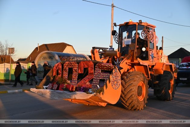 В Кричеве прошло шествие дедов морозов и выбрали самую креативную елку