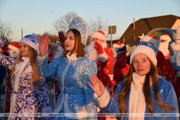В Кричеве прошло шествие дедов морозов и выбрали самую креативную елку