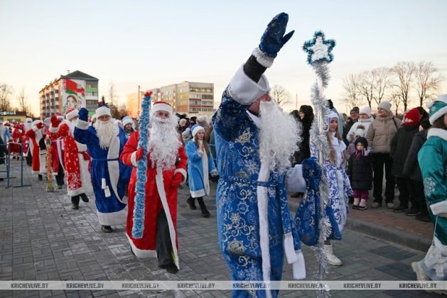 В Кричеве прошло шествие дедов морозов и выбрали самую креативную елку