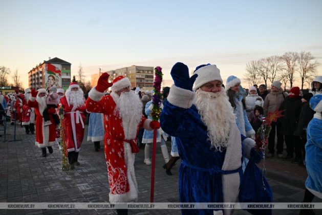 В Кричеве прошло шествие дедов морозов и выбрали самую креативную елку