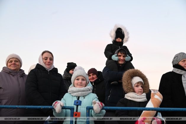 В Кричеве прошло шествие дедов морозов и выбрали самую креативную елку