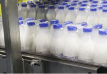 Беларусь получила право свободно торговать молочной продукцией в Алжире