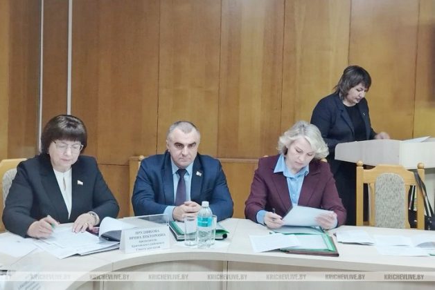 Как в Кричевском районе реализуется Директива №1, оценил исполком