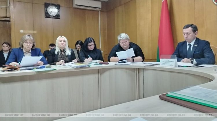 Как в Кричевском районе реализуется Директива №1, оценил исполком