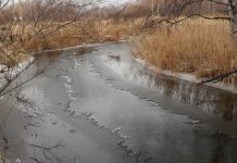 Как избежать несчастных случаев на первом льду, разъяснили кричевские спасатели Как избежать несчастных случаев на первом льду, разъяснили кричевские спасатели