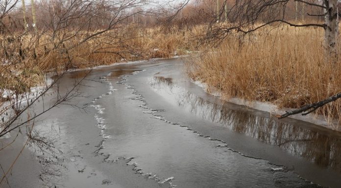 Как избежать несчастных случаев на первом льду, разъяснили кричевские спасатели Как избежать несчастных случаев на первом льду, разъяснили кричевские спасатели