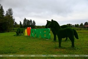 Главные моменты 2025 года: подборка krichevlive.by