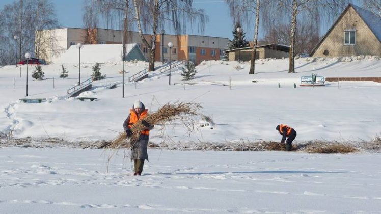 Спасение водной фауны: борьба с зимними заморами на Кричевщине