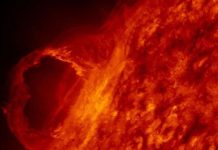 До 10 мощных вспышек на Солнце могут произойти в 2026 году