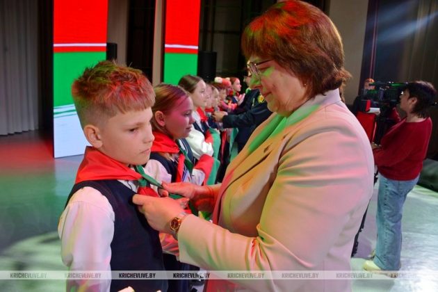 Символ единства и ответственности: в Кричеве торжественно отметили День Конституции