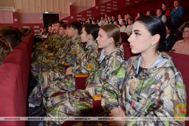 Символ единства и ответственности: в Кричеве торжественно отметили День Конституции