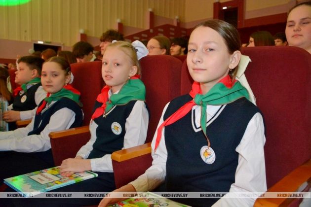 Символ единства и ответственности: в Кричеве торжественно отметили День Конституции