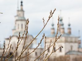 Пасхальная верба: где взять, как украшать и можно ли выбрасывать Пасхальная верба: где взять, как украшать и можно ли выбрасывать