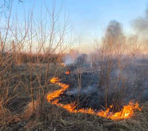 Кричевские спасатели дважды выезжали на тушение возгорания