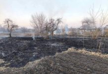 В Кричеве тушили возгорание сухой растительности В Кричеве тушили возгорание сухой растительности