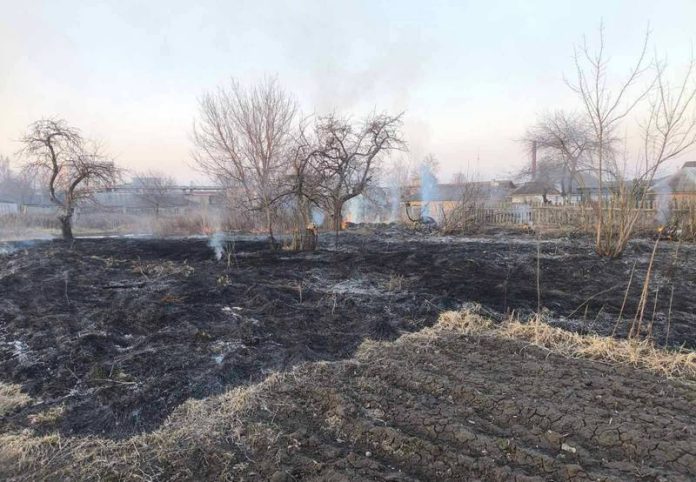 В Кричеве тушили возгорание сухой растительности В Кричеве тушили возгорание сухой растительности