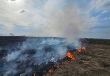 В Кричеве горела сухая растительность В Кричеве горела сухая растительность
