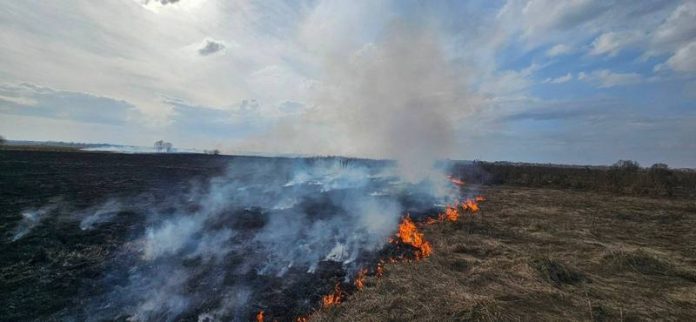 В Кричеве горела сухая растительность
