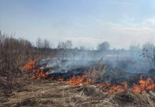 Три пала за день: в Кричевском районе горела сухая трава в трех деревнях Спасатели Кричевского РОЧС тушили траву в трех деревнях за один день