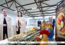 Новую породу перепелов планируют вывести в Беларуси