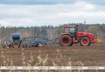 План по обеспеченности полей минеральными удобрениями в Беларуси выполнен на 88% План по обеспеченности полей минеральными удобрениями в Беларуси выполнен на 88%