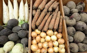 Минсельхозпрод установил предельные максимальные цены на овощи и яблоки для госнужд Кричев | Новости Кричева и Кричевского района