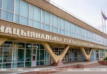 В Белстате назвали топ-5 сфер, в которых заняты белорусы