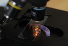 Уникальный белорусский биочип для аллергодиагностики проходит регистрационные испытания