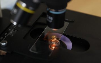 Уникальный белорусский биочип для аллергодиагностики проходит регистрационные испытания Кричев | Новости Кричева и Кричевского района