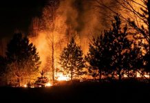 Лесные пожары на юго-востоке США уничтожили более 120 домов