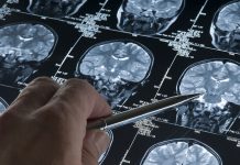 Китайские ученые выяснили, как мозг переключается между воспоминаниями и восприятием реальности