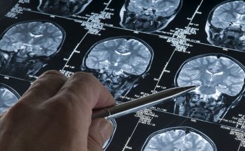 Китайские ученые выяснили, как мозг переключается между воспоминаниями и восприятием реальности Кричев | Новости Кричева и Кричевского района