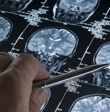 Китайские ученые выяснили, как мозг переключается между воспоминаниями и восприятием реальности Кричев | Новости Кричева и Кричевского района