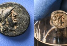 В Берлине подросток нашел греческую монету, отчеканенную более 2 тыс. лет назад