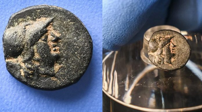 В Берлине подросток нашел греческую монету, отчеканенную более 2 тыс. лет назад Кричев | Новости Кричева и Кричевского района