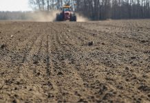 Лукашенко доложили о ходе весенних полевых работ в Беларуси