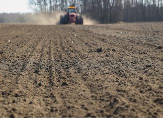 Лукашенко доложили о ходе весенних полевых работ в Беларуси