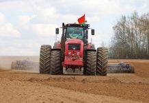 В Беларуси засеяли половину площадей яровых культур