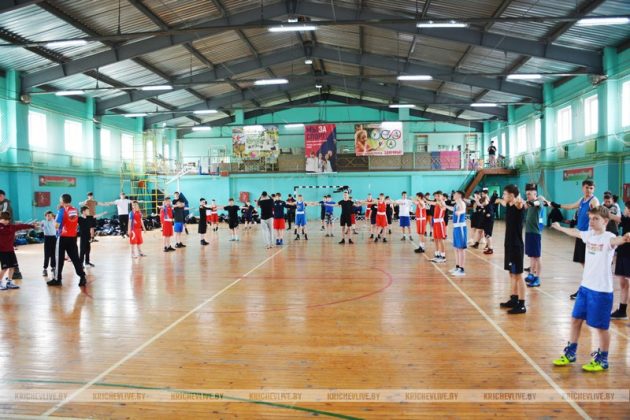 104 юных  боксера из  шести городов встретились на спарринге в Кричеве