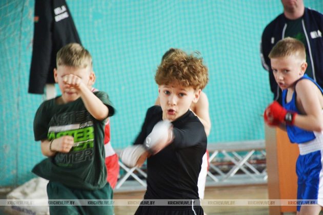 104 юных  боксера из  шести городов встретились на спарринге в Кричеве