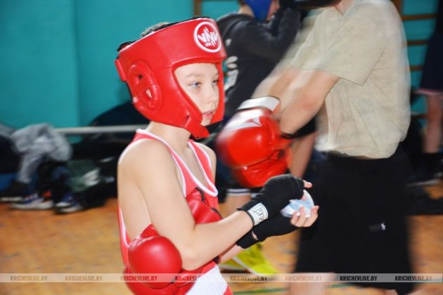 104 юных  боксера из  шести городов встретились на спарринге в Кричеве