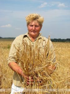 Как женщина-агроном стала легендой Кричевского района