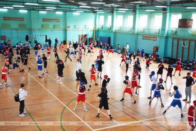 104 юных  боксера из  шести городов встретились на спарринге в Кричеве