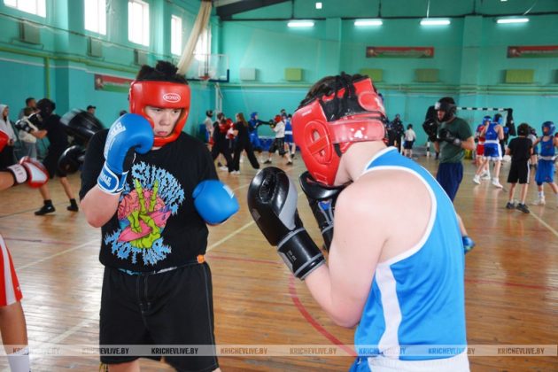 104 юных  боксера из  шести городов встретились на спарринге в Кричеве