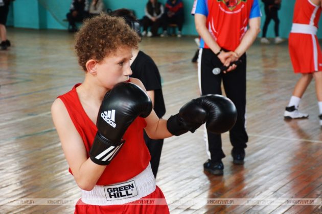 104 юных  боксера из  шести городов встретились на спарринге в Кричеве