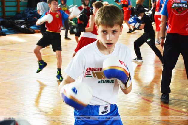 104 юных  боксера из  шести городов встретились на спарринге в Кричеве