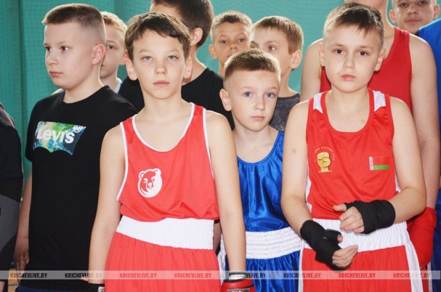 104 юных  боксера из  шести городов встретились на спарринге в Кричеве