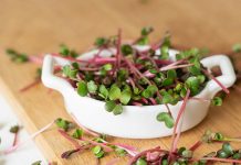 Врач рассказала, кому стоит с осторожностью употреблять микрозелень